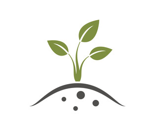 Obraz na płótnie Canvas Seedling icon. plant sprouted from the ground. farming, planting and agriculture symbol