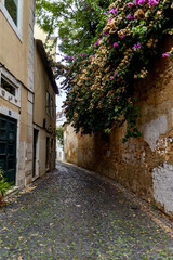 Fototapeta na wymiar Quiet cobblestone street scene in Lisbon Portugal