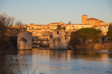 Zamora old town seen form Douro river, Acenas and stone bridge in the foreground, Cathedral in...