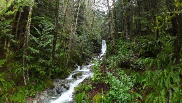 Peaceful River and Waterfall in vibrant green Forest. Near Squamish and Vancouver, British Columbia, Canada. Slow Motion