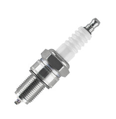 spark plug for a gasoline engine