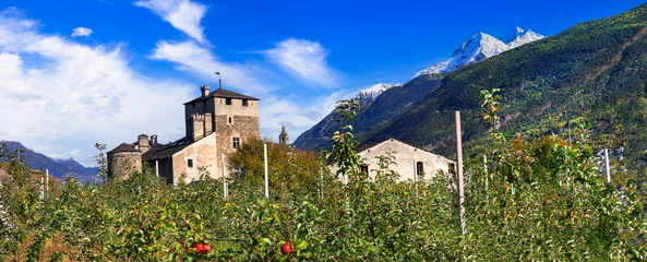 Poster Valle d'Aosta, Italy. Beautiful northern region famous with medieval castles. view of Sarriod de la Tour castle  surrounded by Alps mountains © Freesurf