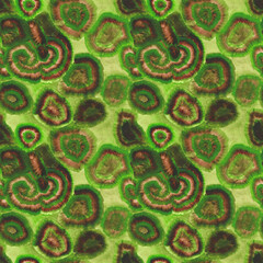 Green and brown watercolor abstract seamless pattern. Mosses and lichens on a seamless print. Natural round shapes on an endless backdrop. Colorful wallpaper. Moss texture for your design.