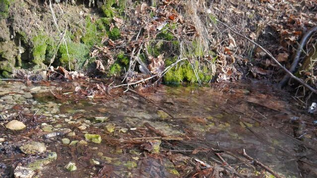 Silesian spring landscape - river side