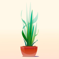 green plant for room, vector drawing, contour graphics