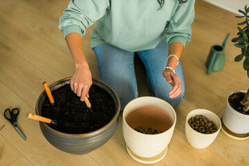 Close-up female grows potted plants at home watering and replanting flowers - gardening and houseplant care concept