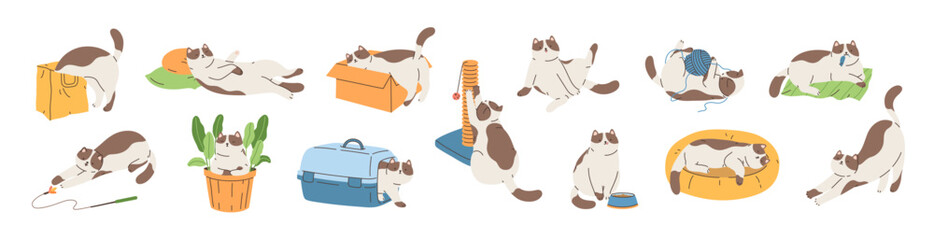 Cute cat activities set. Pet kitten home life: actions, scenes with scratching post, toys, carrier, bed, box, bag, feed. Colored flat graphic illustration isolated on white background.