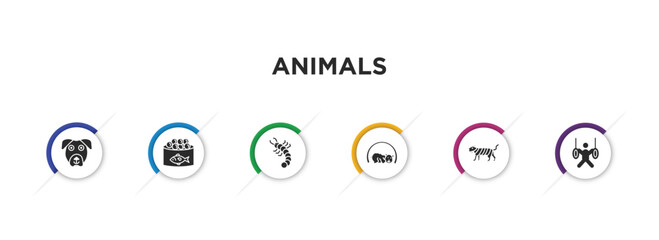 animals filled icons with infographic template. glyph icons such as boxerhead, caviar, grub, hibernation, smilodon, trapeze artists vector.