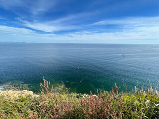 Clear water off the coast of the Russkiy island. Akhlestysheva Bay