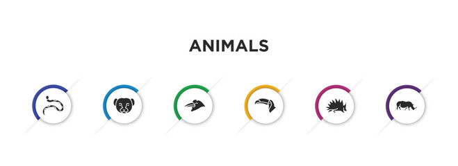 animals filled icons with infographic template. glyph icons such as copperhead, weasel, crow, big toucan, porcupine, rhinoceros vector.