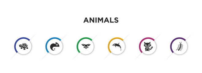 animals filled icons with infographic template. glyph icons such as turtle, chameleon, fennec fox, grampus, raccoon, centipede vector.