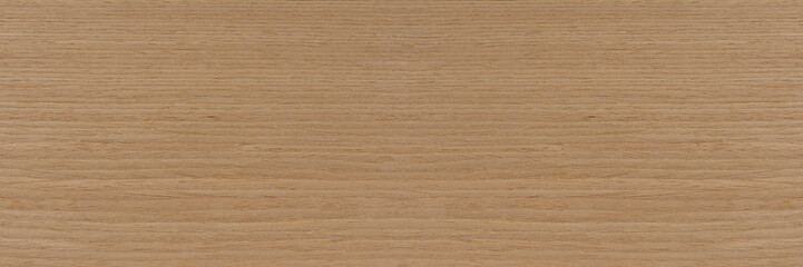 Natural oak texture. Wood texture. Oak board for furniture production. Untreated plank of young oak with fine texture in light color - obrazy, fototapety, plakaty
