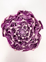 Red Cabbage isolated on white background