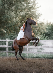 Beautiful little girl riding a rearing horse - 575414990