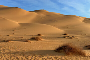 Fototapeta na wymiar SAHARA DESERT LANDSCAPE WITH SAND DUNES IN ALGERIA AROUND DJANET OASIS