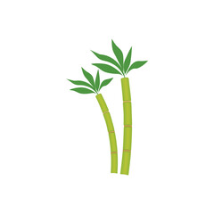 Sugar cane and cane logo.  Cane plant, sugarcane harvest stalk, plant and leaves, sugar ingredient stem. Vector illustration isolated on white background. For template label, packing, web, menu, logo