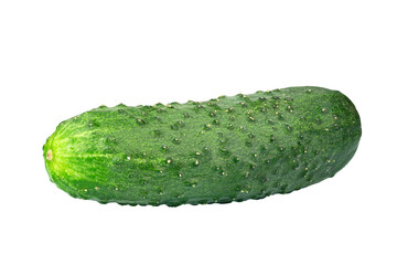 Homemade cucumber. Fresh organic cucumber isolated on white background. File contains clipping path.
