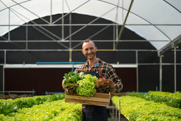 Owner of the hydroponics vegetable garden is checking the quality of the vegetables and checking or recording the growth of the vegetables in the garden, Vegetables in the greenhouse.