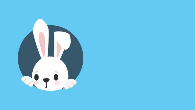 Cute bunny looks out of a hole, 4K animation on a blue background