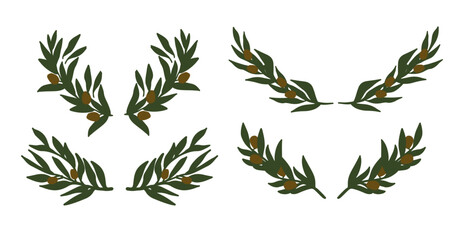 olive branch vector illustration set for your design