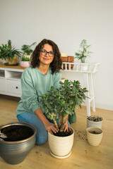 Woman gardener transplanting green plants in ceramic pots on the floor. Concept of home garden and potted plants