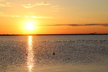 amanecer en las marismas 