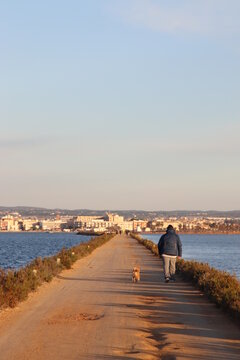 persona con perro paseando por las marismas © Joeslaa