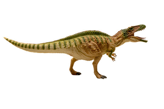 Acrocanthosaurus dinosaur isolated on white background