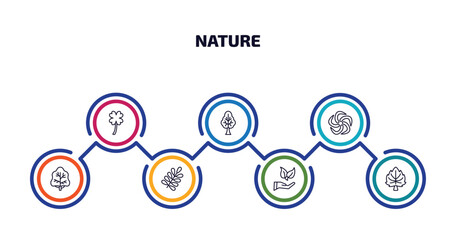 nature infographic element with outline icons and 7 step or option. nature icons such as clovers, tree with big foliage, whirlpool, white ash tree, branches with leaves, conservation, basswood tree