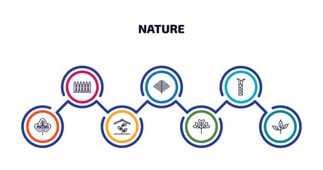 nature infographic element with outline icons and 7 step or option. nature icons such as fences, pine needle, escuamiforme, reniform, indoor, obcordate, cherry leaf vector.