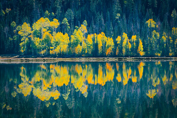 Autumn Colors at Fish Lake Near Richfield Utah - obrazy, fototapety, plakaty