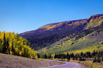 Autumn Colors at Fish Lake Near Richfield Utah