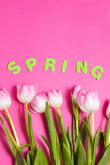 beautiful tulips flowers and word Spring on pink background