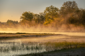 River Ubarc' (Belarus) at sunrise