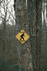 Big Foot Sign in Woods