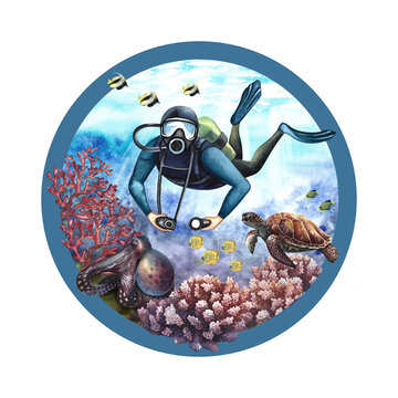 diver underwater scene with coral and sea life