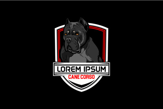 Cane corso vector logo badge design template