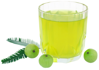 Herbal amla juice with fresh fruits