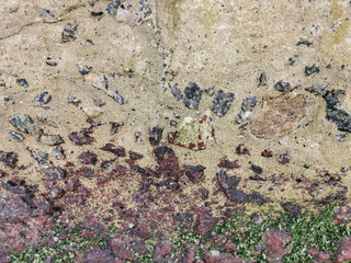 Textures. Cement wall wear on the edge of the sea. Art made by nature. Wear, algae, molluscs, lichens, wind and rain also make art.