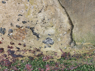 Textures. Cement wall wear on the edge of the sea. Art made by nature. Wear, algae, molluscs, lichens, wind and rain also make art.