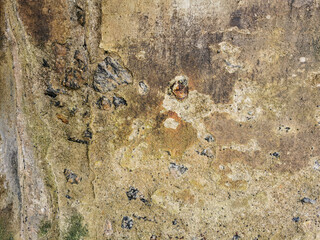 Textures. Cement wall wear on the edge of the sea. Art made by nature. Wear, algae, molluscs, lichens, wind and rain also make art.