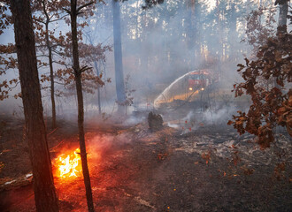 Water cannon of a fire engine shooting a high-velocity stream of water, firemen fighting fire in forest. Ukraine