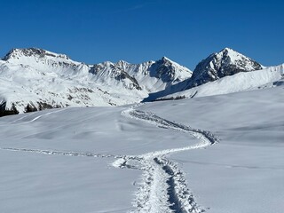 Obraz premium Wonderful winter hiking trails and traces in the fresh alpine snow cover of the Swiss Alps and over the tourist resort of Arosa - Canton of Grisons, Switzerland (Schweiz)