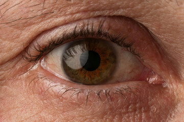 Fototapeta premium Close up image of aged man's eye, looking at camera