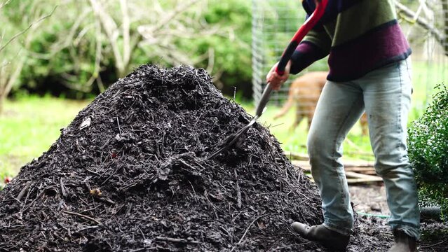 Compost pile, organic thermophilic compost turning in Tasmania Australia
