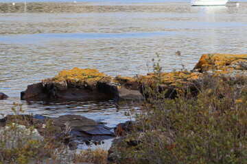 Autumn Day in in Two Harbors, Minnesota on the Lake Superior Harbor Near Lighthouse 