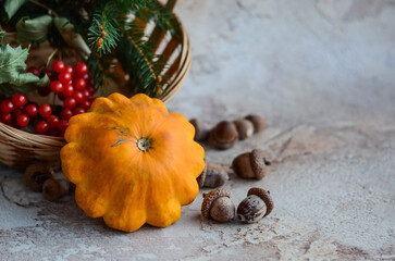 Pumpkin, acorns on the background of a wicker basket with a branch of viburnum. autumn harvest