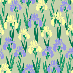 seamless pattern bright flower iris yellow and lilac