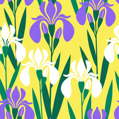 seamless pattern bright flower iris