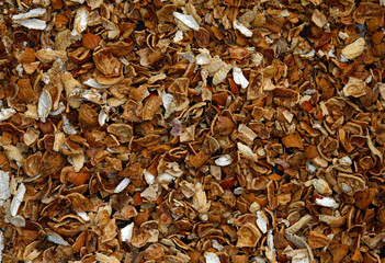 biofertilizer, crushed nut shells
